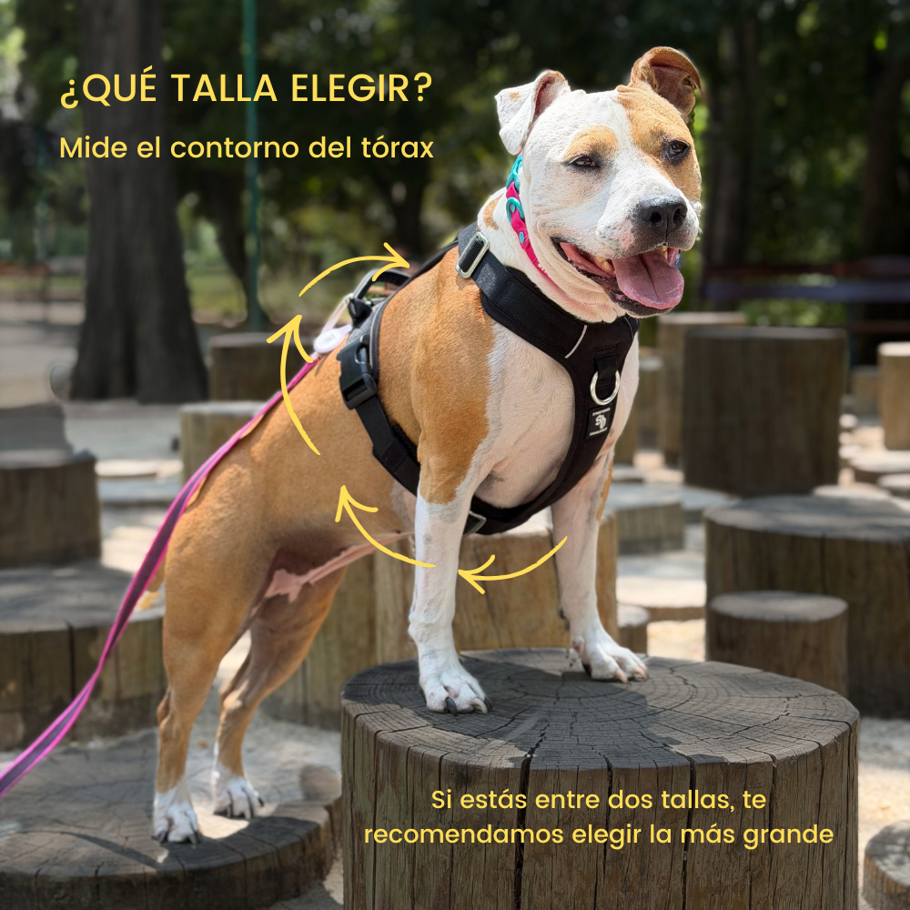 Arnés Aerosport para Perros - Street Dogs - Pink