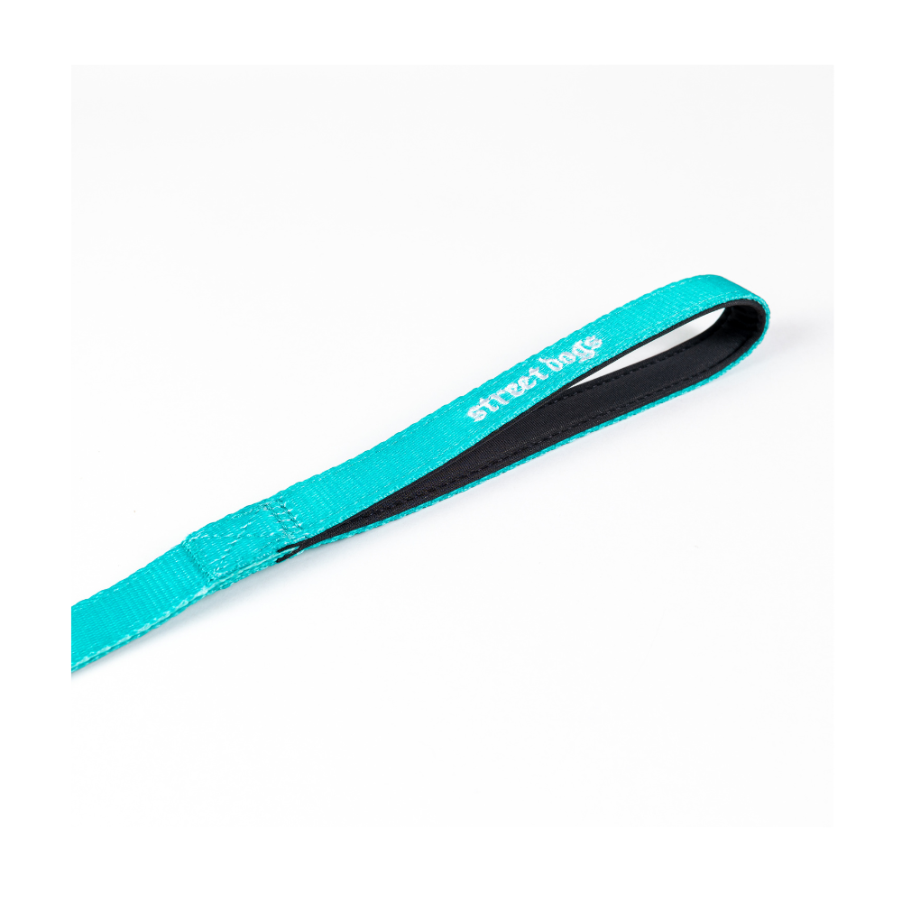 Correa Larga para Perros - Light | 10 mts | Turquoise