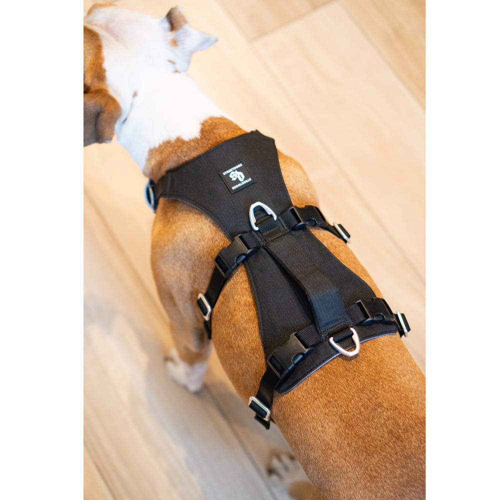 Arnés Anti-Escape Security Fit para Perros - Street Dogs - Black
