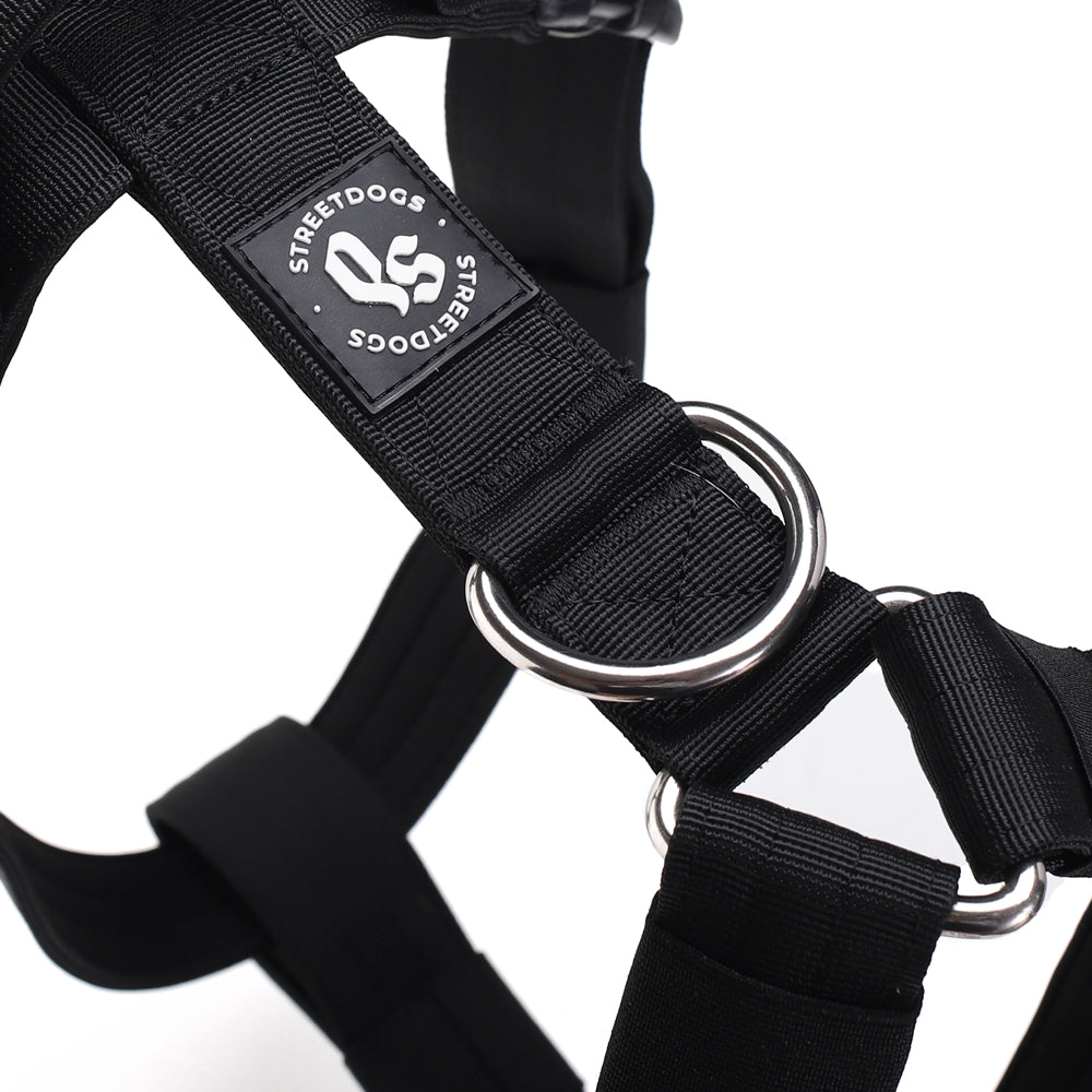 Arnés Strap para Perros- Street Dogs - Black