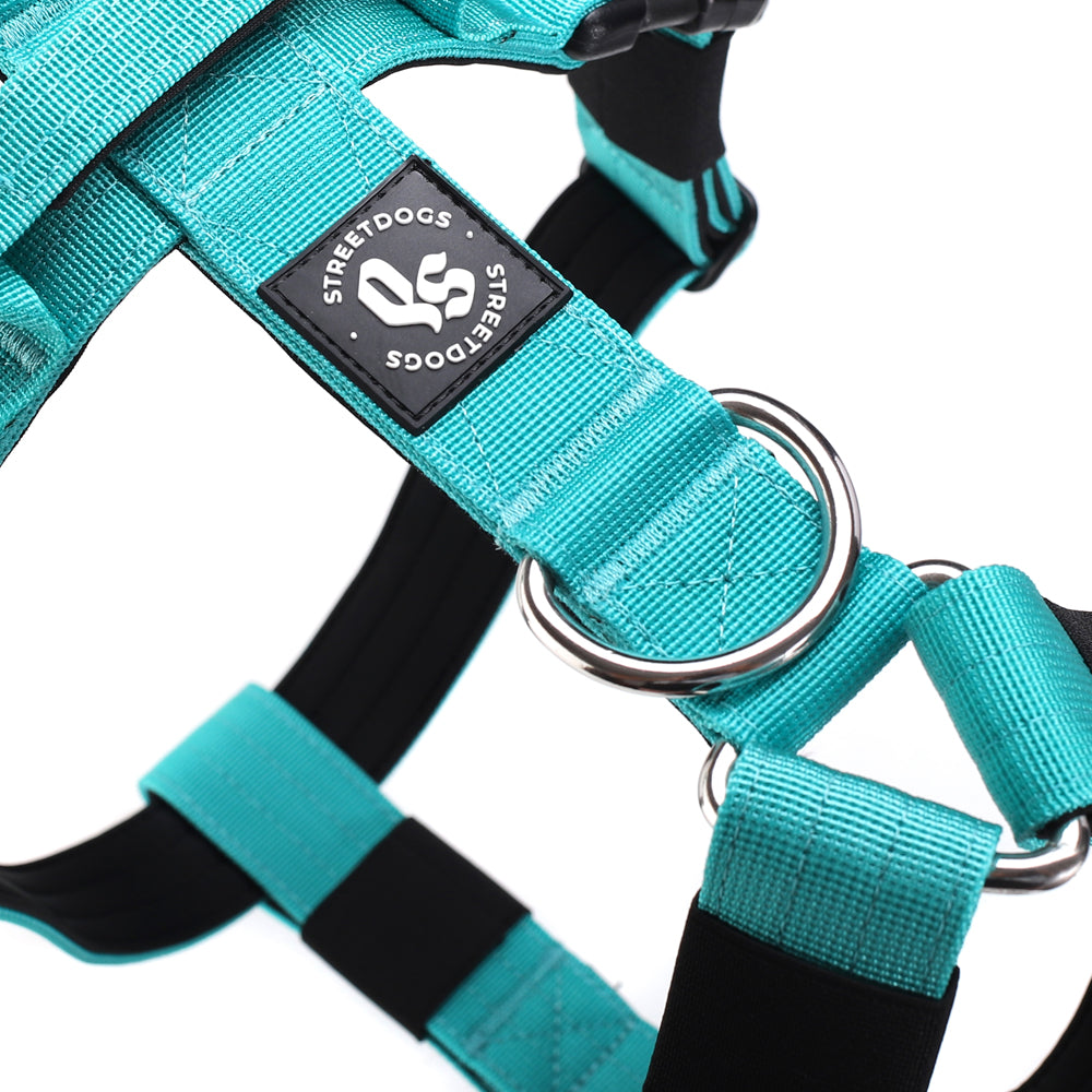 Arnés Strap para Perros - Street Dogs - Turquoise