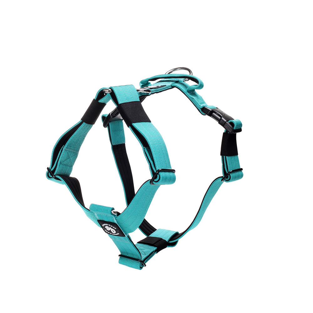 Arnés Strap para Perros - Street Dogs - Turquoise