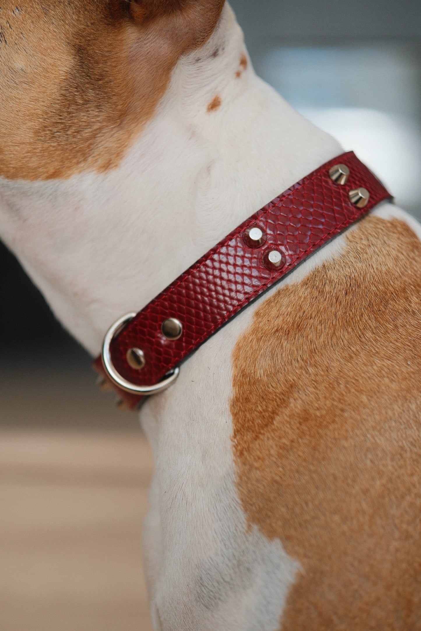 Collar Cuero 3 cm para Perros - Street Dogs - Dark Red