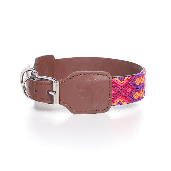 Collar para Perro - Modelo Valladolid - Uso Decorativo