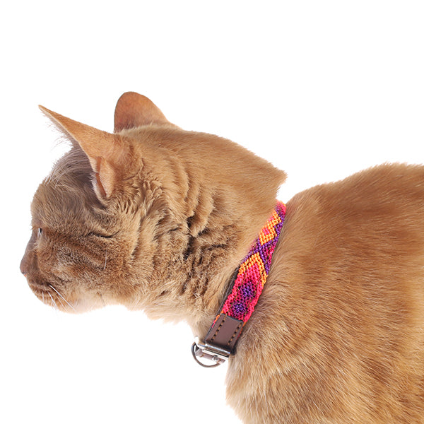 Collar para Perro - Modelo Valladolid - Uso Decorativo