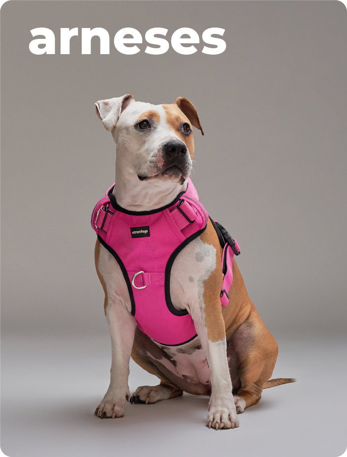 Collage Desktop Image 1