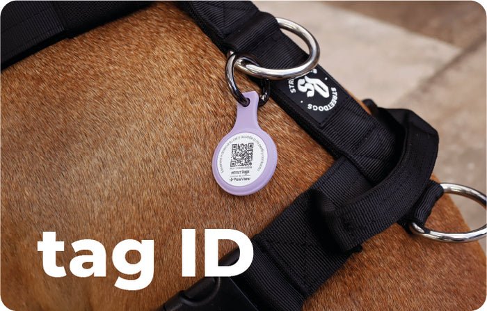 Collage Mobile Image 3