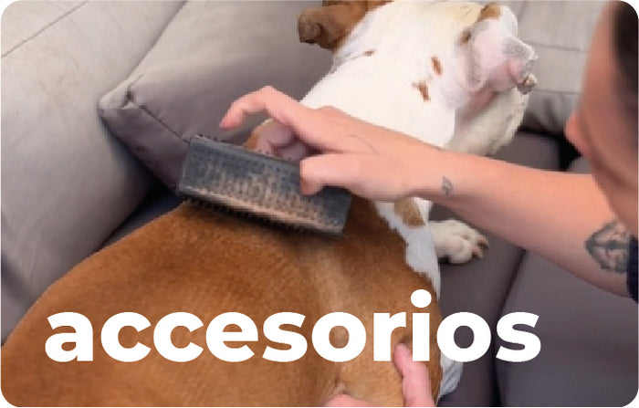 Collage Mobile Image 5