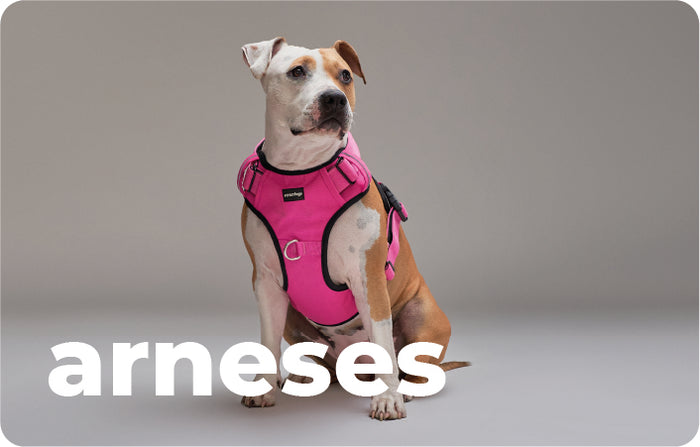 Collage Mobile Image 1