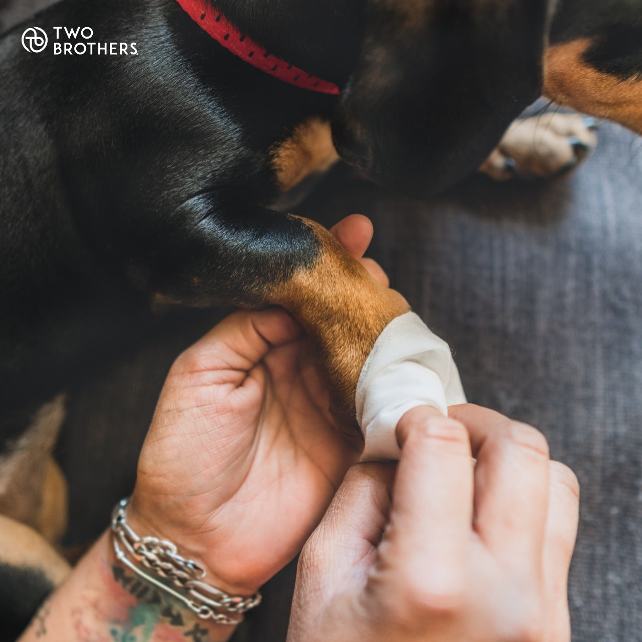 Toallitas húmedas hipoalergénicas para Perros (40 unidades)