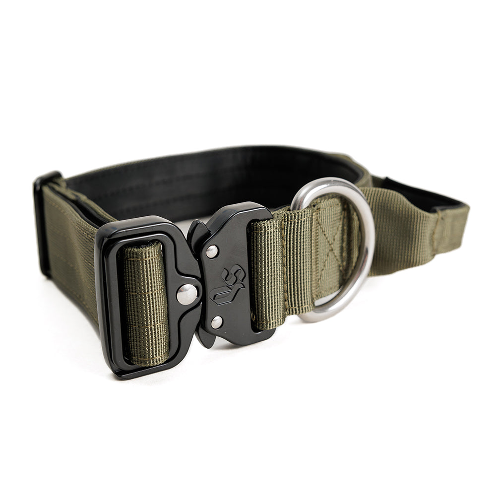 Collar Combat 4 cm para Perros - Street Dogs - Khaki
