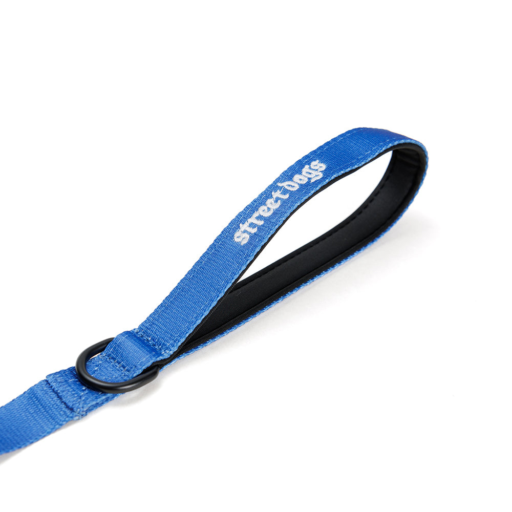 Correa Larga de Adiestramiento para Perros | 3 mts | Blue