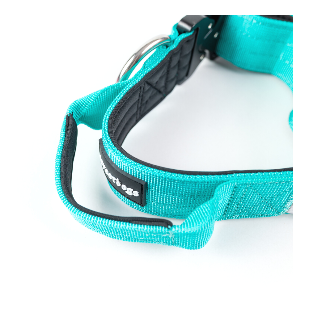 Collar Combat 4 cm para Perros - Street Dogs - Turquoise
