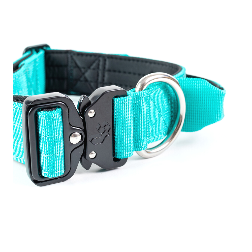 Collar Combat 4 cm para Perros - Street Dogs - Turquoise