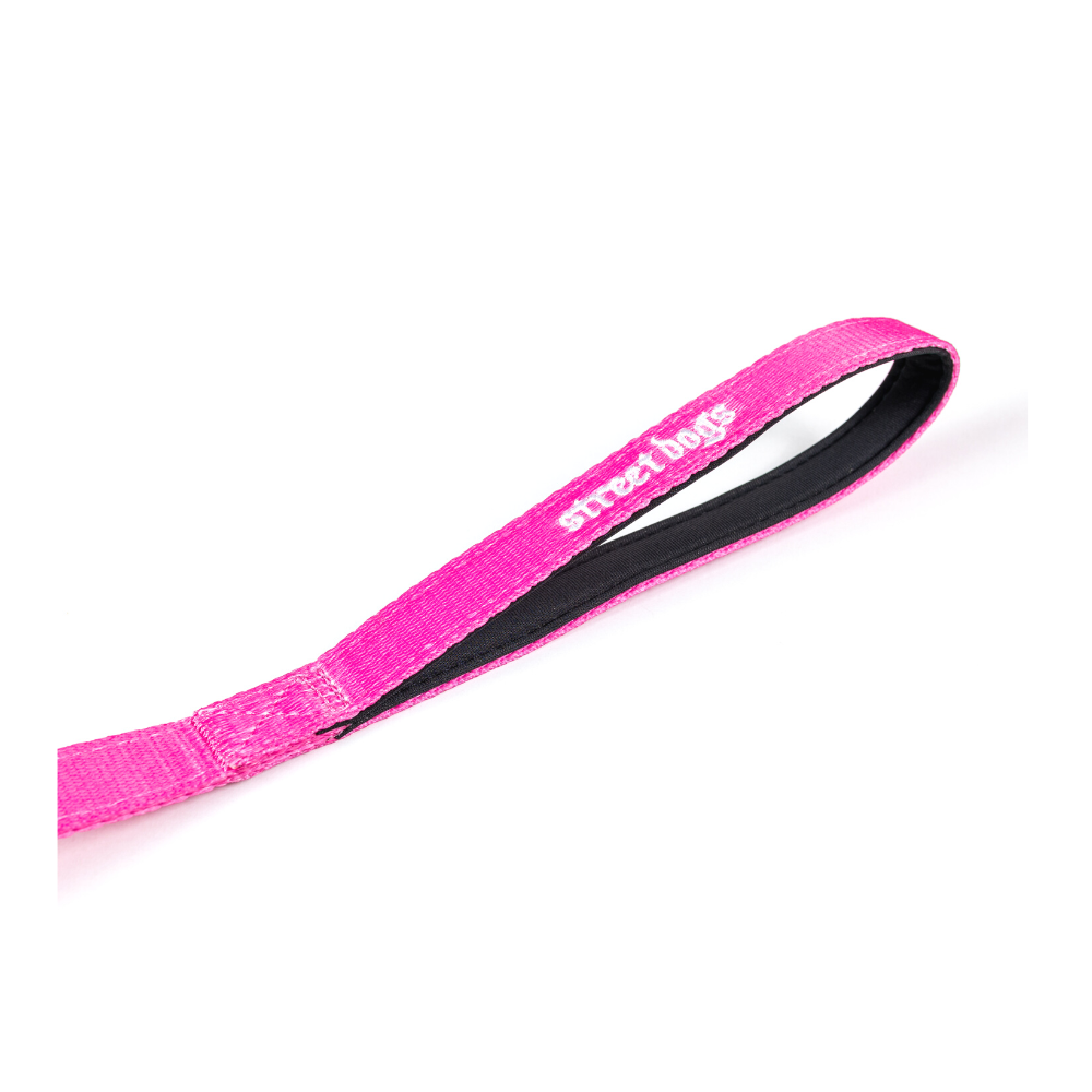 Correa Larga para Perros - Light | 3 mts | Pink