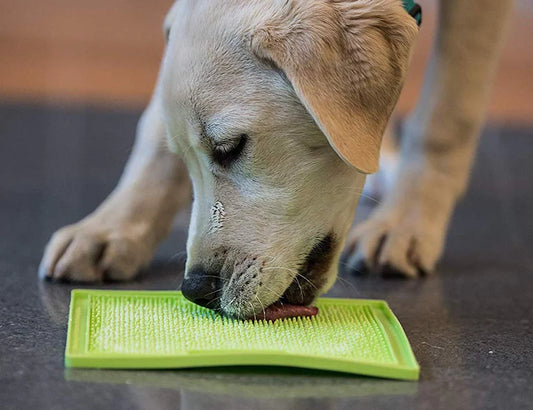 Por qué tu perro debería tener un Lickimat