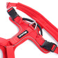 Arnés Aerosport para Perros - Street Dogs - Red