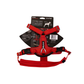 Arnés Aerosport para Perros - Street Dogs - Red