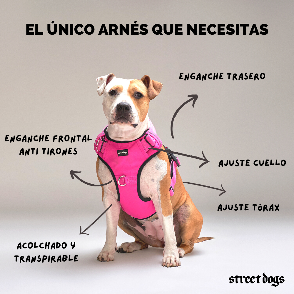 Arnés Comfort para Perros - StreetDogs - Animal Print