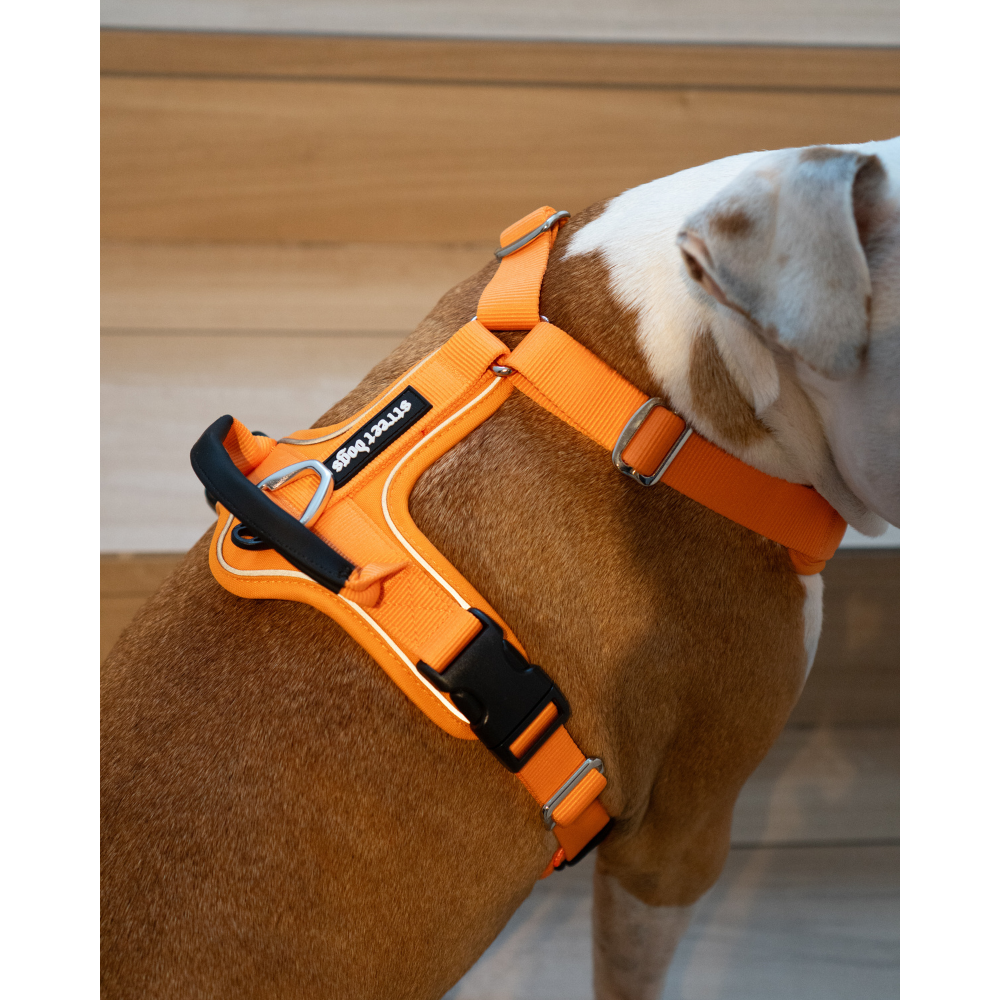 Arnés Aerosport para Perros - Street Dogs - Red