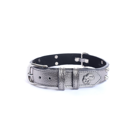 Collar Cuero 3 cm para Perros - Street Dogs - Silver