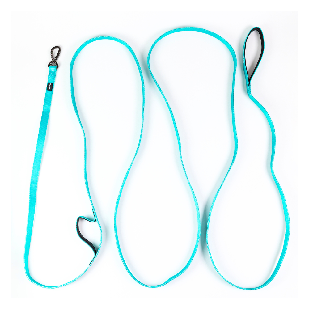 Correa Larga para Perros - Light | 10 mts | Turquoise