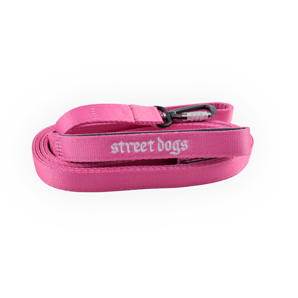 Correa Larga para Perros - Mosquetón Automático | 3 mts | Pink