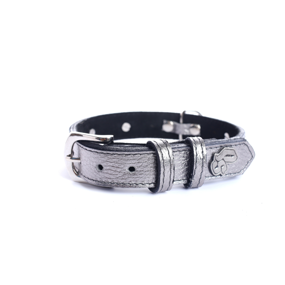 Collar Cuero 2.5 cm para Perros - Street Dogs - Silver