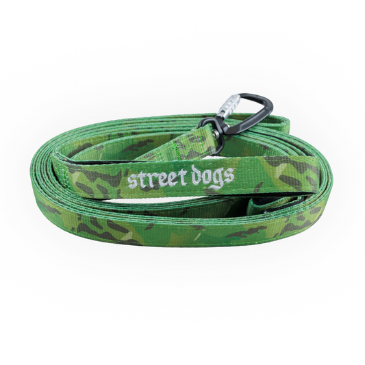 Correa Larga para Perros - Mosquetón Automático | 3 mts | Green Camouflage