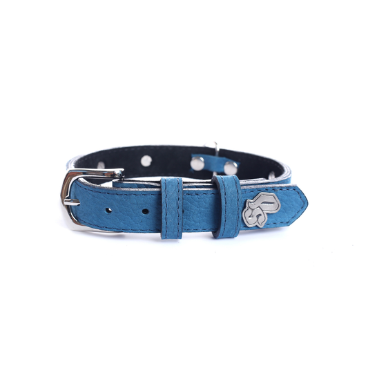 Collar Cuero 2.5 cm para Perros - Street Dogs - Blue Mate