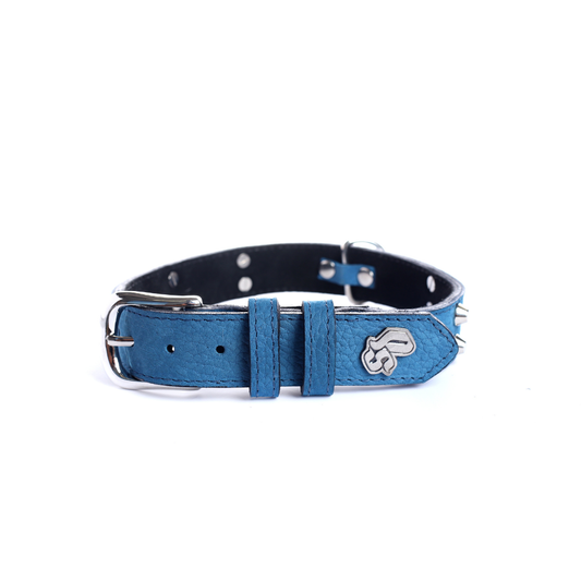 Collar Cuero 3 cm para Perros - Street Dogs - Blue Mate