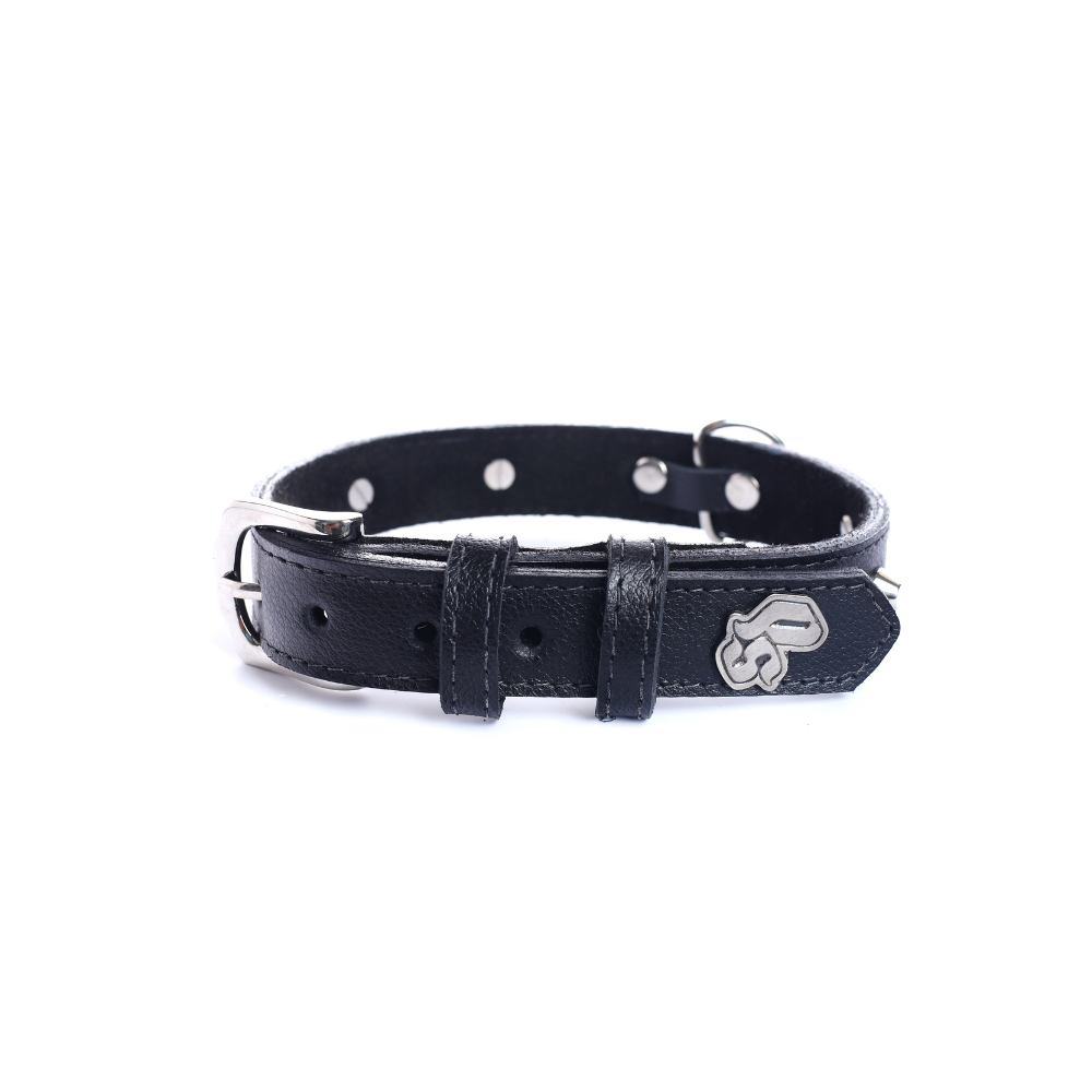 Collar Cuero 2.5 cm para Perros - Street Dogs - Black