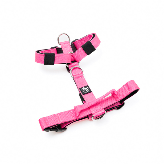 Arnés Mini-Strap para Perros - Street Dogs - Pink