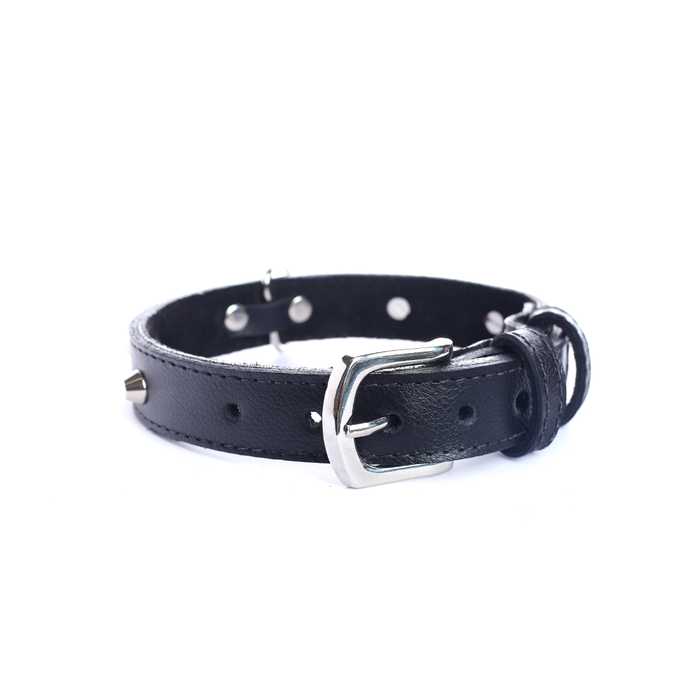 Collar Cuero 2.5 cm para Perros - Street Dogs - Black