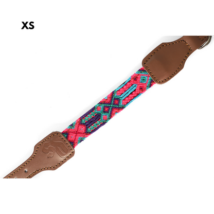 Collar para Perro - Modelo Río Lagartos - Uso Decorativo