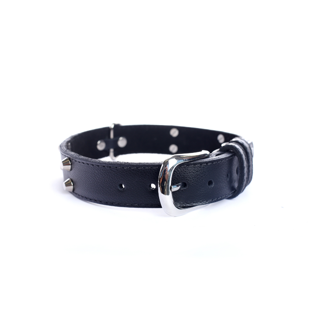 Collar Cuero 3 cm para Perros - Street Dogs - Black