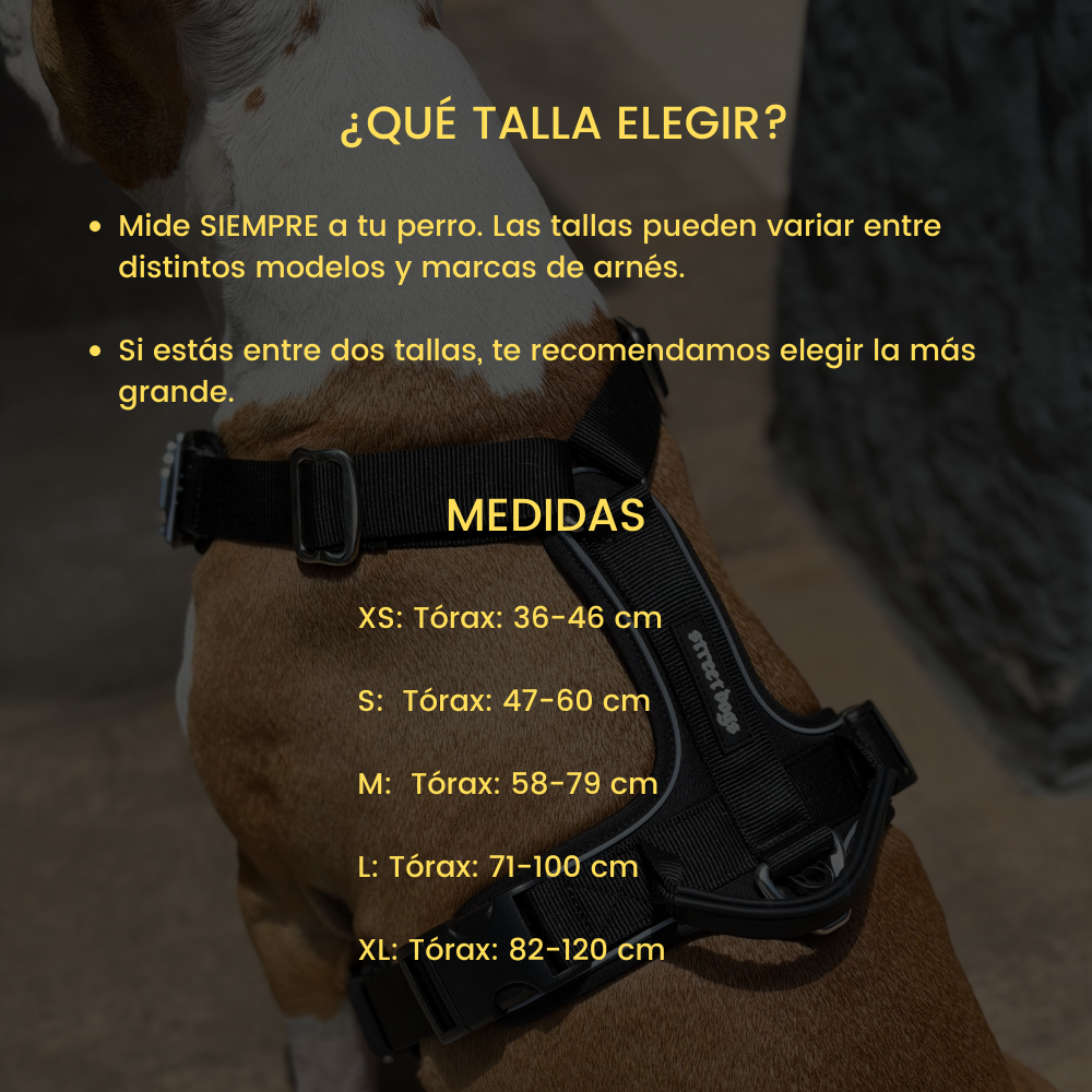 Arnés Aerosport para Perros - Street Dogs - Black