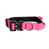 Collar Mini Combat 2,5 cm para Perros - Street Dogs - Pink