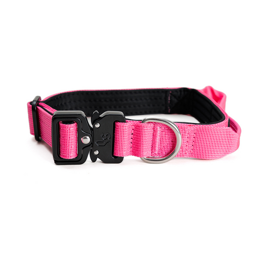 Collar Mini Combat 2,5 cm para Perros - Street Dogs - Pink