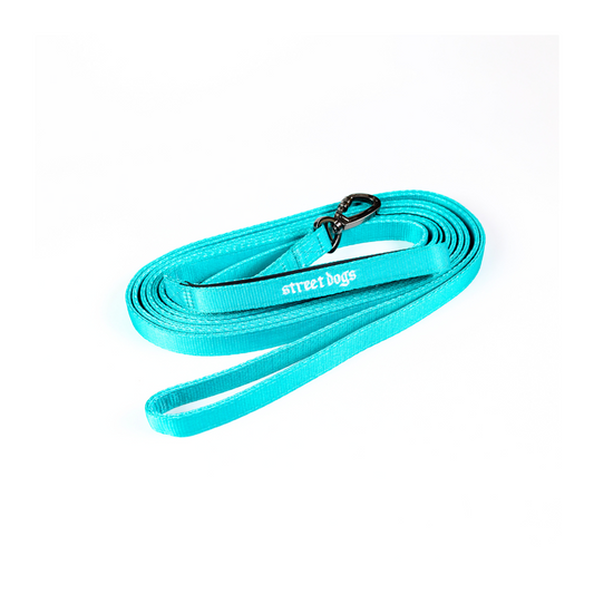 Correa Larga para Perros - Light | 10 mts | Turquoise