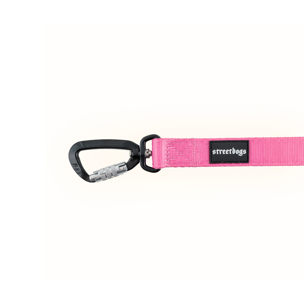 Correa Larga para Perros - Mosquetón Automático | 3 mts | Pink