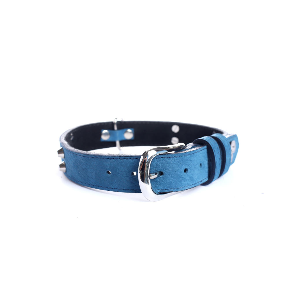 Collar Cuero 3 cm para Perros - Street Dogs - Blue Mate
