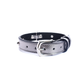 Collar Cuero 2.5 cm para Perros - Street Dogs - Silver