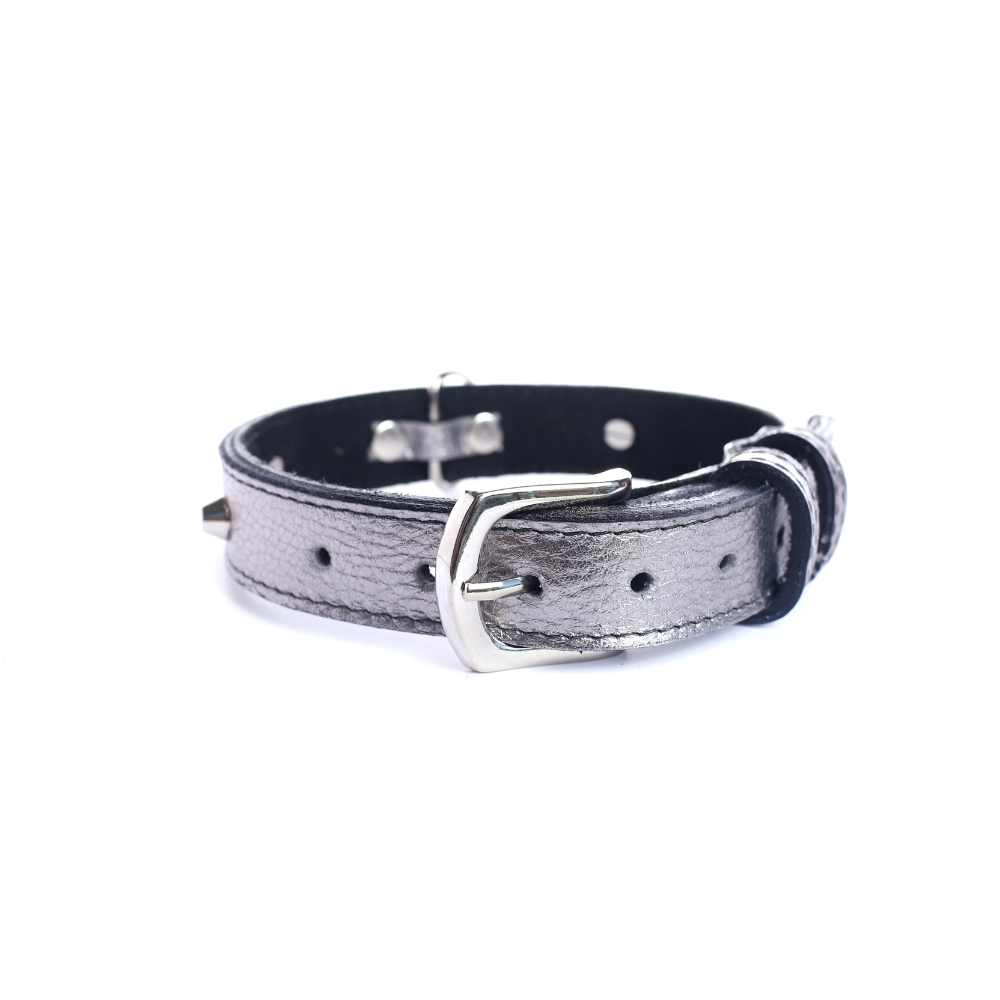 Collar Cuero 2.5 cm para Perros - Street Dogs - Silver