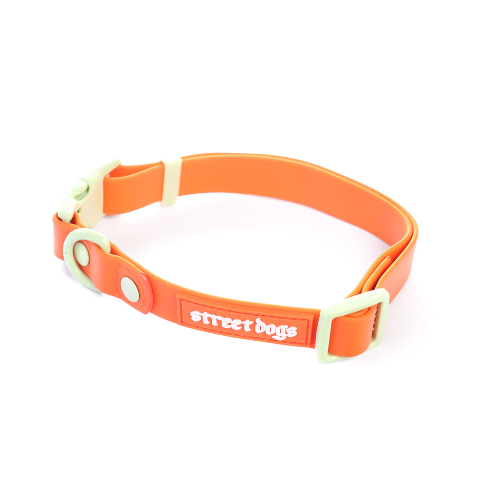 Collar PVC - Street Dogs - Orange