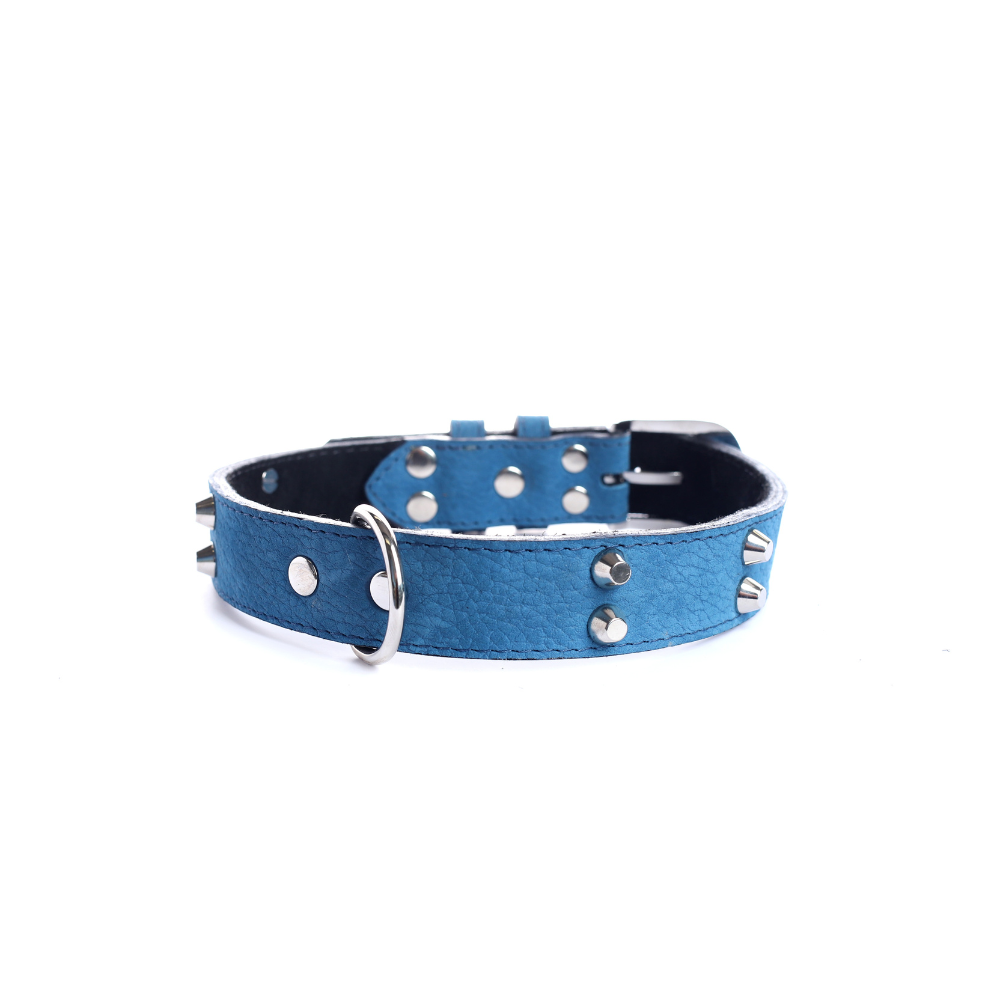 Collar Cuero 3 cm para Perros - Street Dogs - Blue Mate