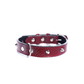 Collar Cuero 2.5 cm para Perros - Street Dogs - Dark Red