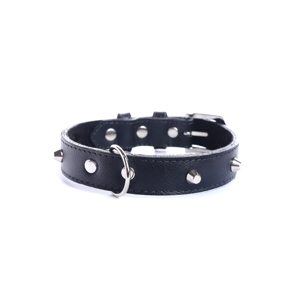 Collar Cuero 2.5 cm para Perros - Street Dogs - Black