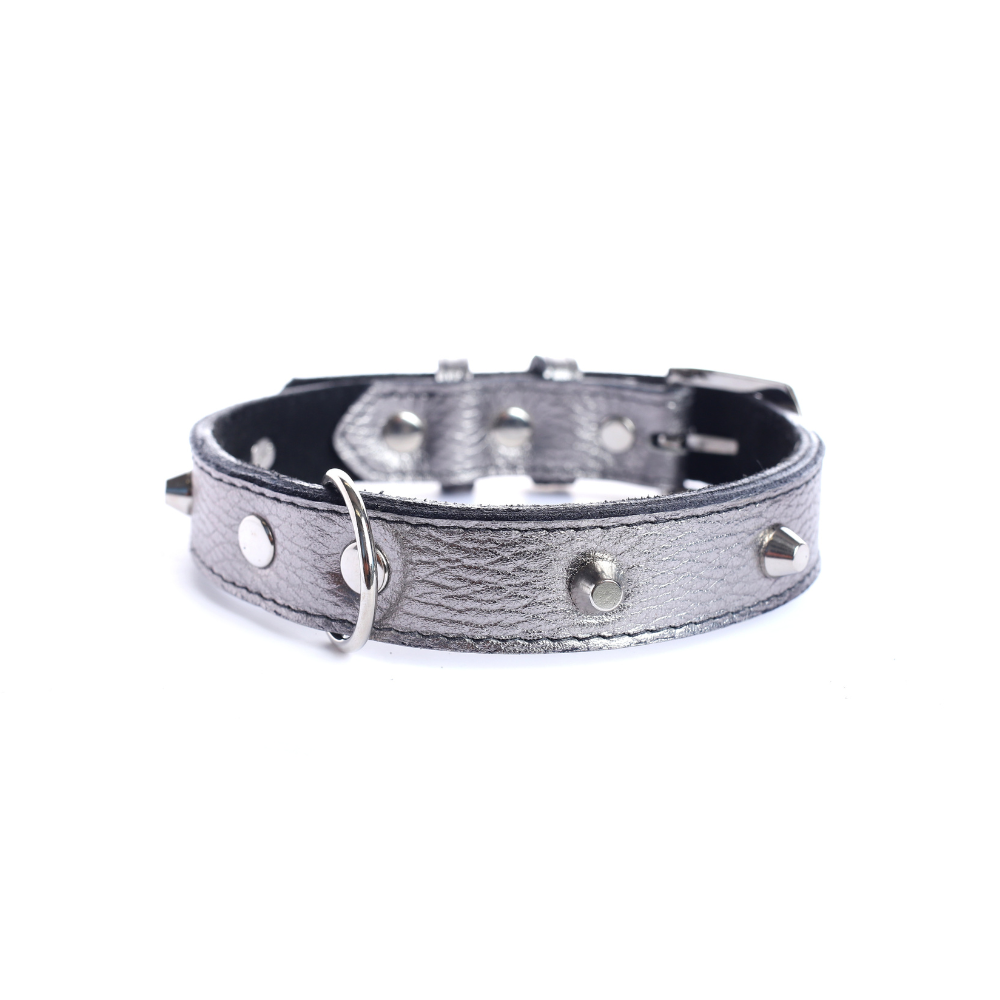 Collar Cuero 2.5 cm para Perros - Street Dogs - Silver