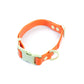 Collar PVC - Street Dogs - Orange